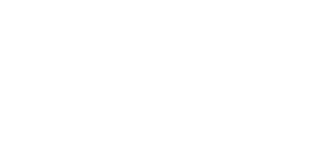Pario Logo